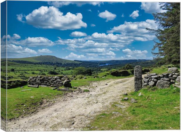 Dartmoor's Natural Majesty Canvas Print by Roger Mechan
