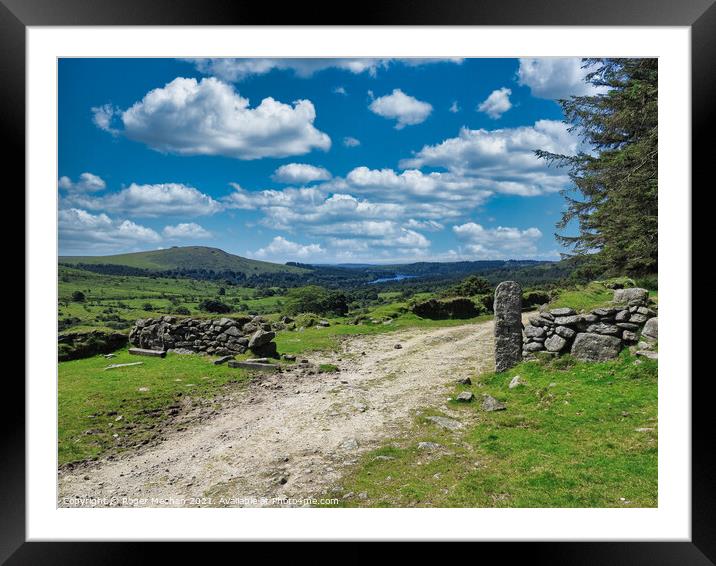 Dartmoor's Natural Majesty Framed Mounted Print by Roger Mechan