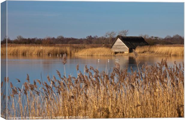 Boat House in the Reeds Canvas Print by Rick Bowden
