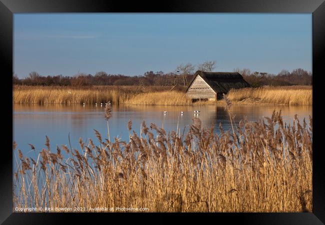 Boat House in the Reeds Framed Print by Rick Bowden
