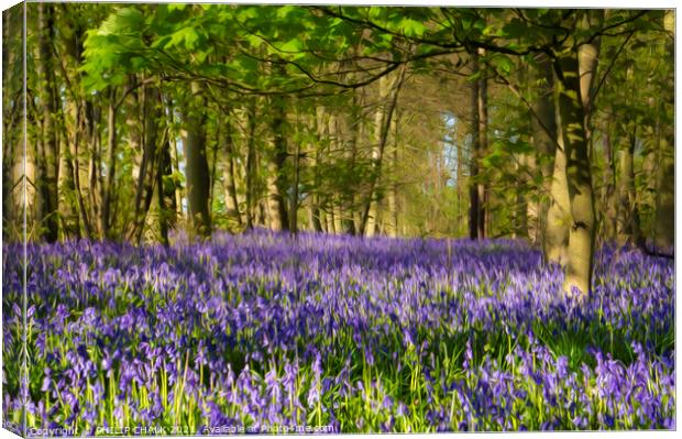 Bluebell spring 625 oil painting effect Canvas Print by PHILIP CHALK