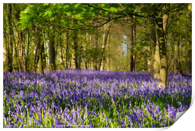 Bluebell spring 625 oil painting effect Print by PHILIP CHALK