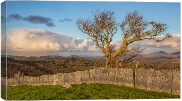 Slate fence Canvas Print by Rory Trappe