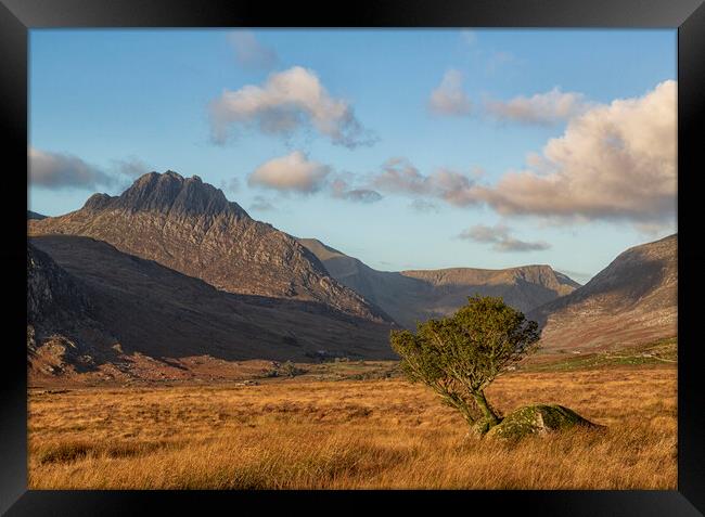 Tryfan Framed Print by Rory Trappe