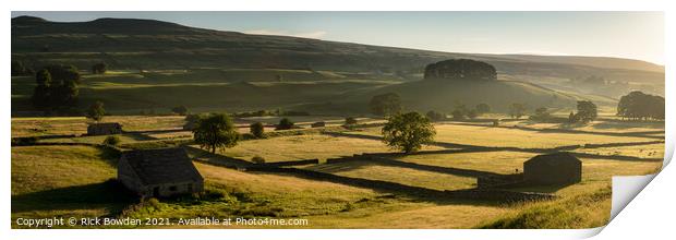 Wensleydale Light Print by Rick Bowden