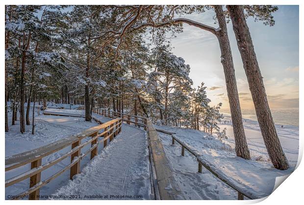 View of snowy pine forest and wooden path Print by Maria Vonotna