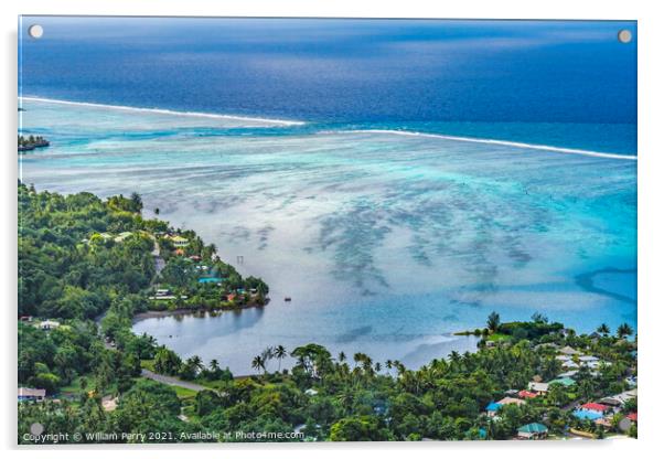 Colorful Outer Reef Blue Water Moorea Tahiti Acrylic by William Perry