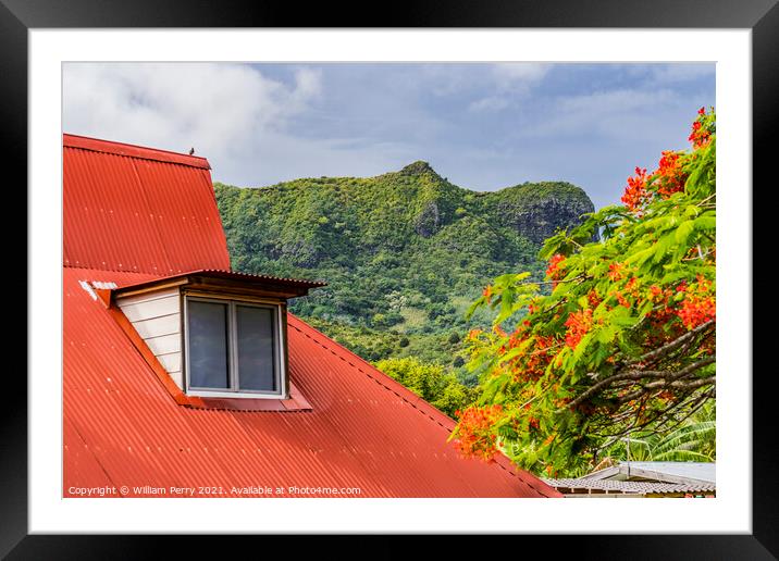 Orange Roof Green Mountain Red Flame Tree  Moorea Tahiti Framed Mounted Print by William Perry