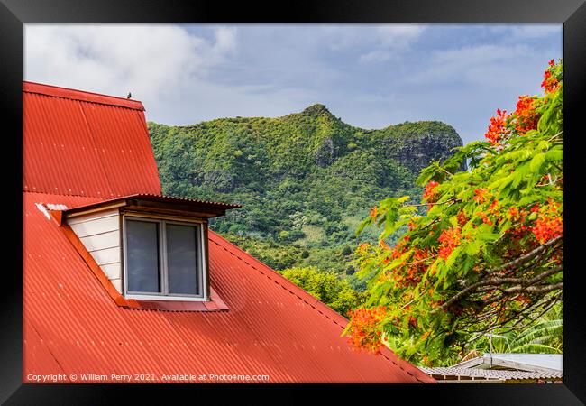 Orange Roof Green Mountain Red Flame Tree  Moorea Tahiti Framed Print by William Perry