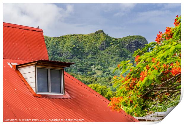 Orange Roof Green Mountain Red Flame Tree  Moorea Tahiti Print by William Perry