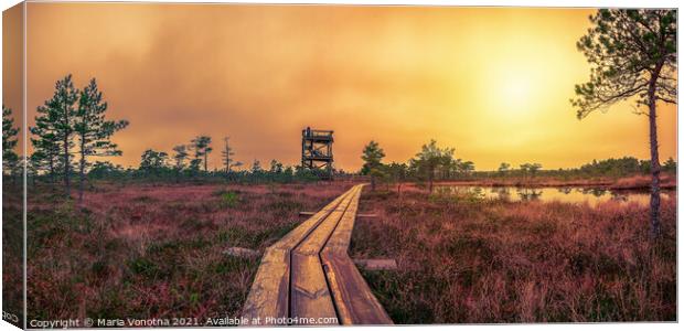 Sunset over bog with observation tower and pathway Canvas Print by Maria Vonotna