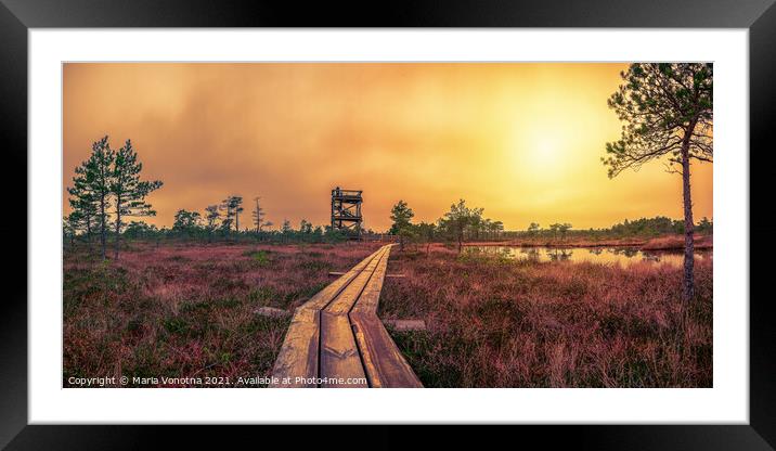 Sunset over bog with observation tower and pathway Framed Mounted Print by Maria Vonotna