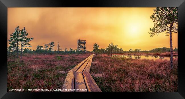 Sunset over bog with observation tower and pathway Framed Print by Maria Vonotna