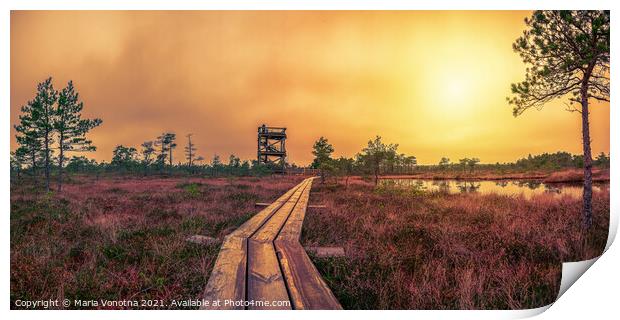 Sunset over bog with observation tower and pathway Print by Maria Vonotna