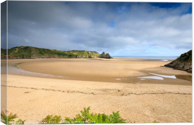 Three Cliffs Bay, Gower Canvas Print by Chris Warham