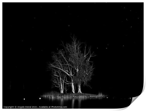 Sao Domingos Beach Islet at Night in Monochrome Print by Angelo DeVal