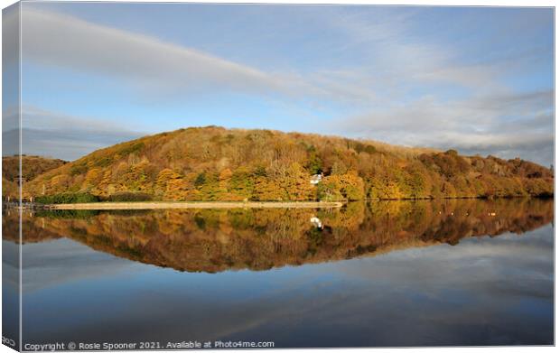 Autumn in Looe Canvas Print by Rosie Spooner