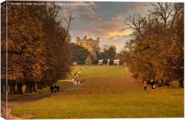 Autumn's Golden Embrace at Wollaton Park Canvas Print by Holly Burgess