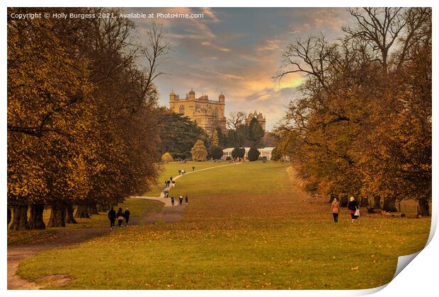Autumn's Golden Embrace at Wollaton Park Print by Holly Burgess