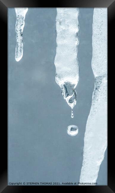 Icicle Drop Framed Print by STEPHEN THOMAS