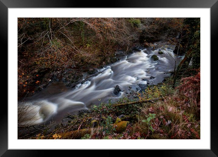 The Avon Mellte in Autumn Framed Mounted Print by Leighton Collins