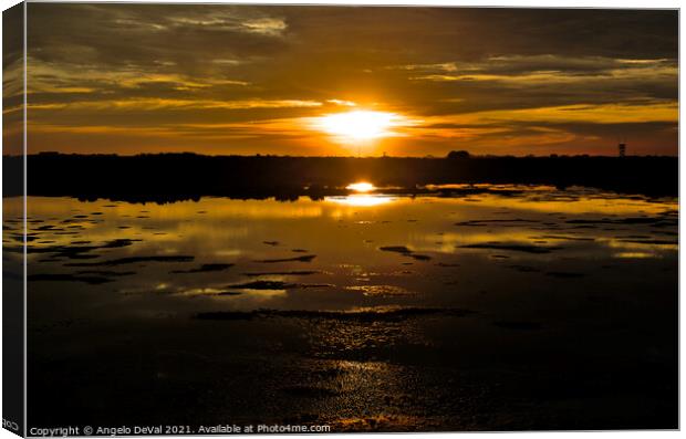 Sun Kiss at the Salt Water Ponds Canvas Print by Angelo DeVal