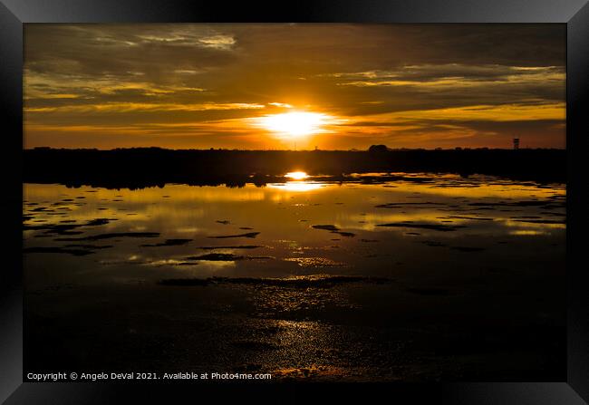Sun Kiss at the Salt Water Ponds Framed Print by Angelo DeVal