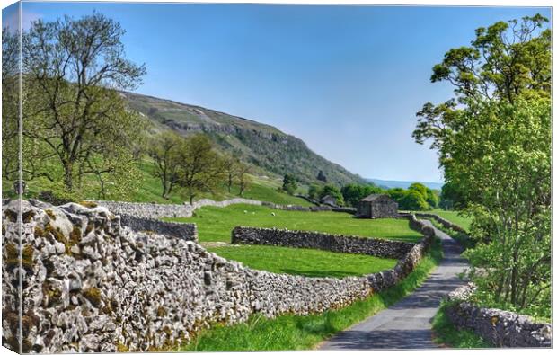 Littondale in the Yorkshire Dales Canvas Print by Alison Chambers