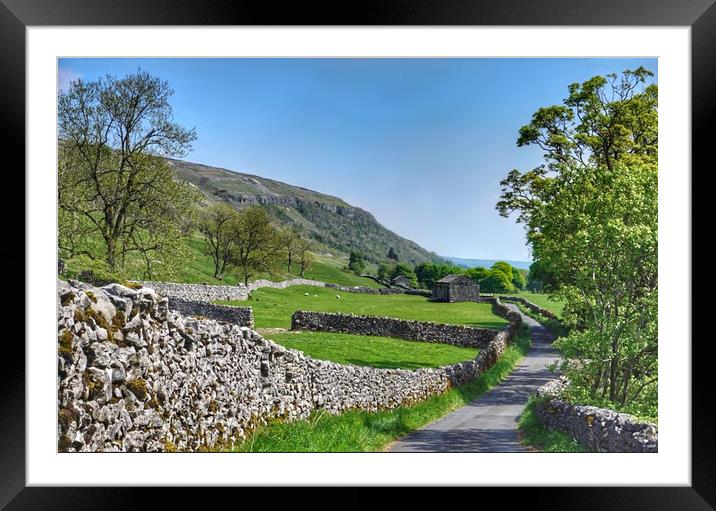 Littondale in the Yorkshire Dales Framed Mounted Print by Alison Chambers