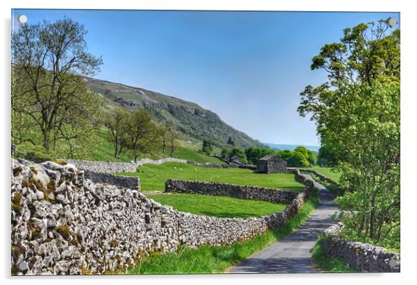 Littondale  Acrylic by Alison Chambers