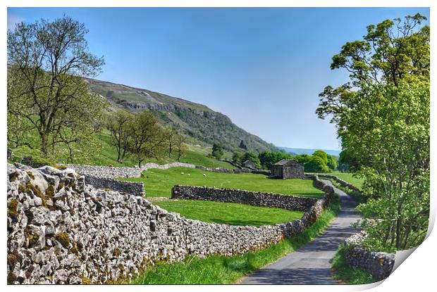 Littondale in the Yorkshire Dales Print by Alison Chambers