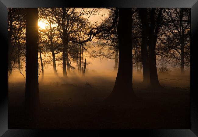 Evening mists..  Framed Print by Elzbieta Sosnowski