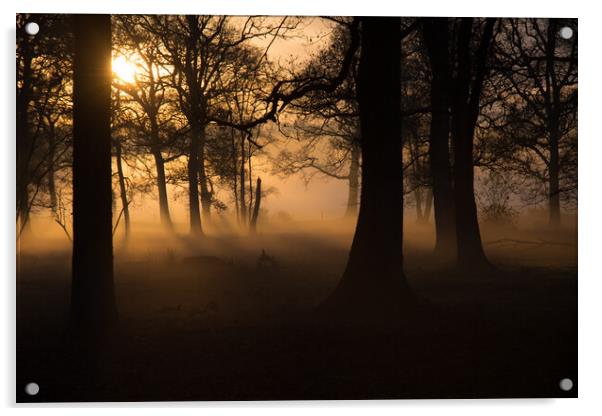 Evening mists..  Acrylic by Elzbieta Sosnowski