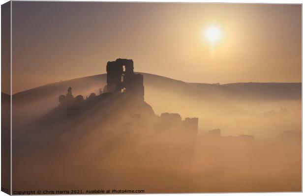 Misty sunrise at Corfe Castle Canvas Print by Chris Harris
