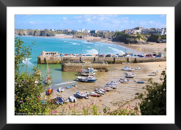 Newquay Harbour and Tolcarne Beach Framed Mounted Print by Chris Harris