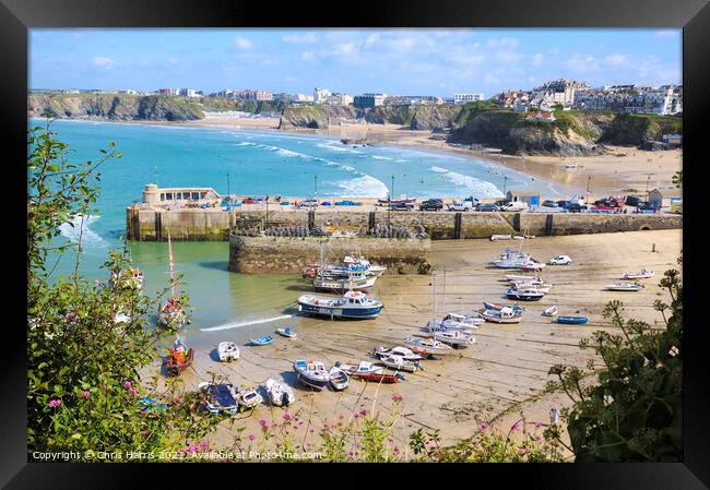 Newquay Harbour and Tolcarne Beach Framed Print by Chris Harris