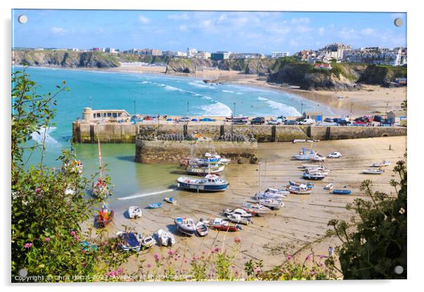Newquay Harbour and Tolcarne Beach Acrylic by Chris Harris
