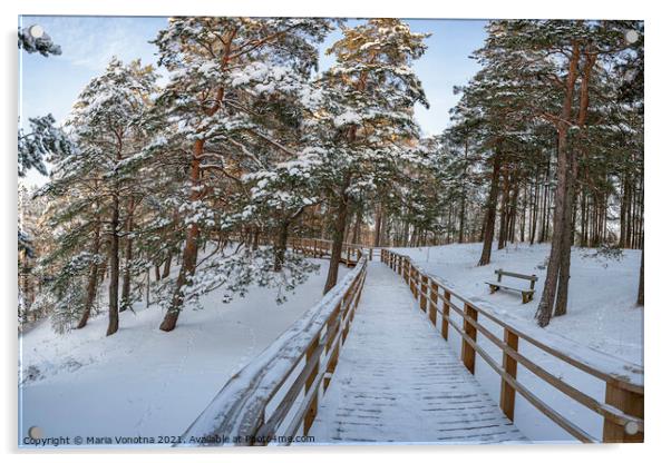 Wooden path in snowy coniferous forest Acrylic by Maria Vonotna