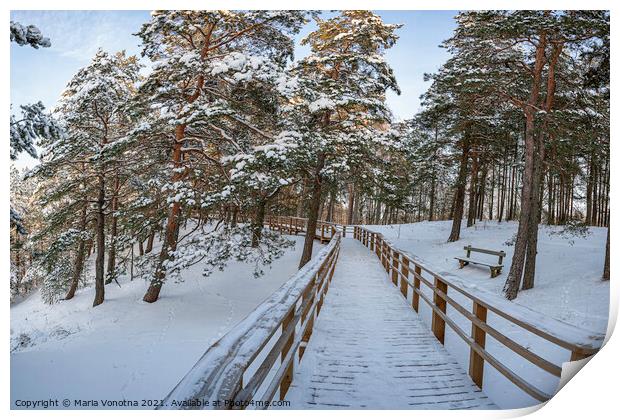 Wooden path in snowy coniferous forest Print by Maria Vonotna