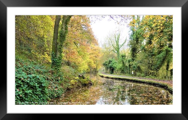 Serene Autumn Caldon Canal Framed Mounted Print by Mark Chesters