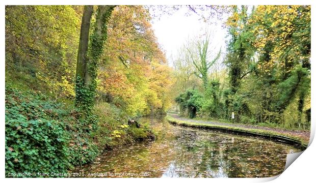 Serene Autumn Caldon Canal Print by Mark Chesters