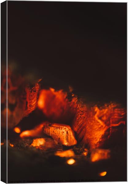 Hot fire coals Canvas Print by Alexandre Rotenberg