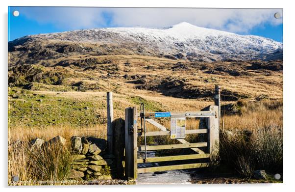 Rhyd Ddu Path to Snowcapped Snowdon Snowdonia Acrylic by Pearl Bucknall