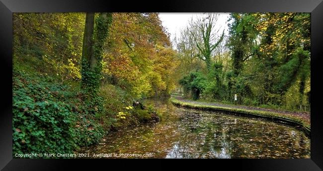 Enchanting Autumn Canal Framed Print by Mark Chesters