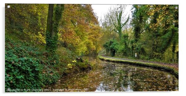 Enchanting Autumn Canal Acrylic by Mark Chesters