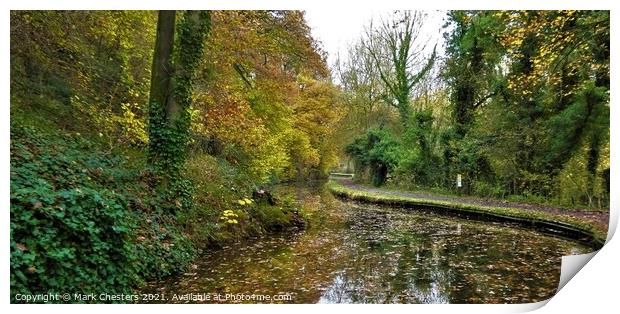 Enchanting Autumn Canal Print by Mark Chesters
