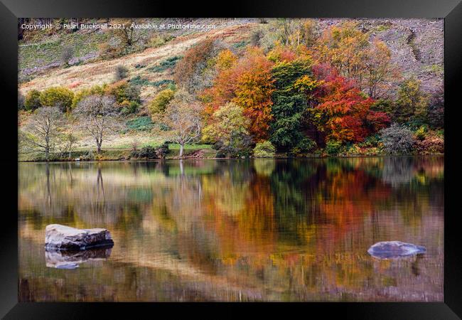 Autumn Reflections in Llyn Geirionydd Lake Framed Print by Pearl Bucknall