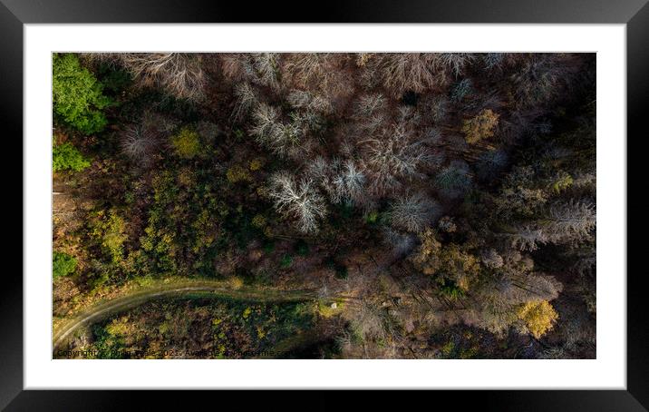 Forest from Above Framed Mounted Print by Philip Teale