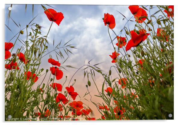 Norfolk poppy fields Acrylic by Laura Baxter