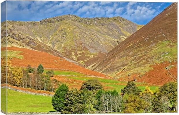 Autumn View of Blencathra Canvas Print by Martyn Arnold